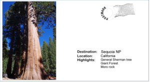 sequoia-np-ca