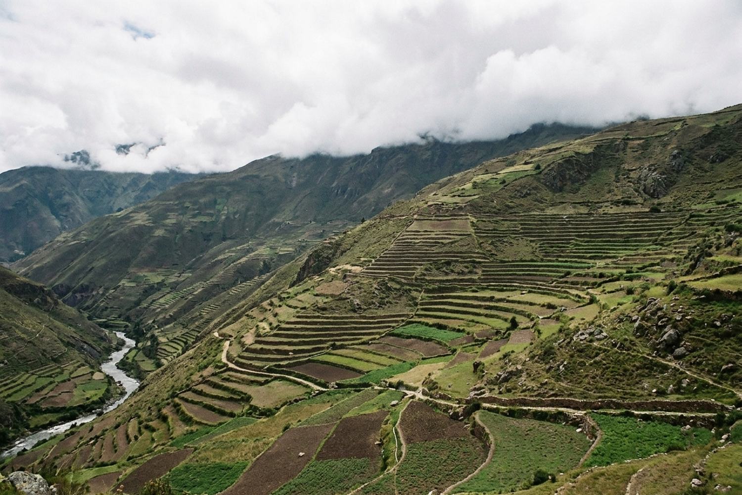 Steep agricultural terraces cut into a green Andean valley above a river